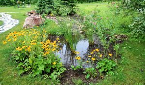 rain-garden